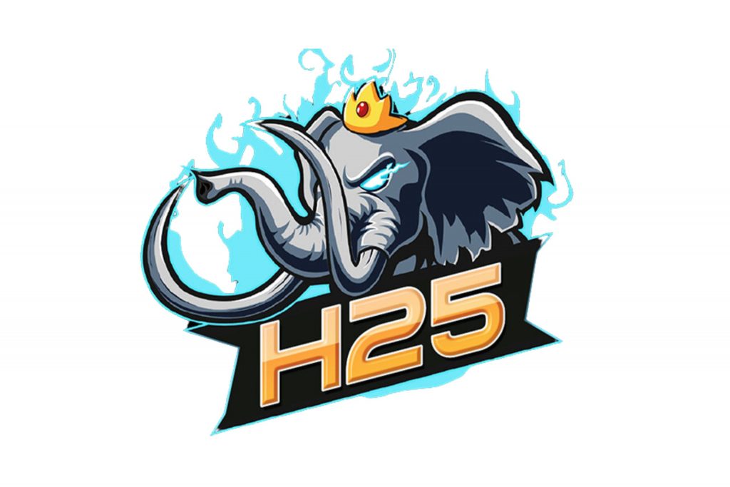 h25 สล็อต