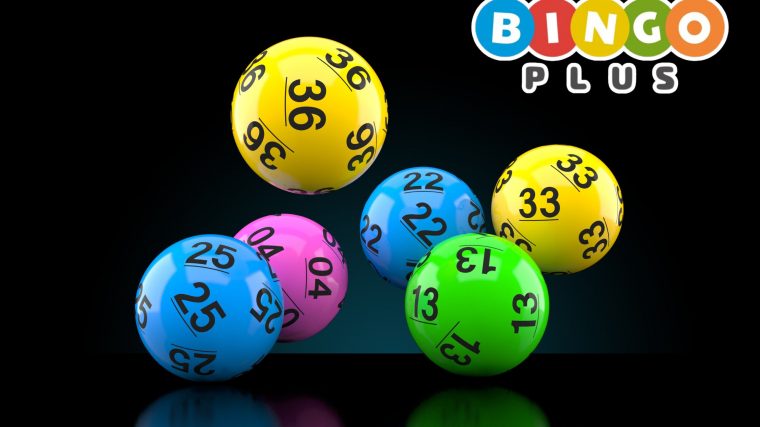 Bingo Plus Logo